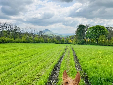 Relax v panenské přírodě