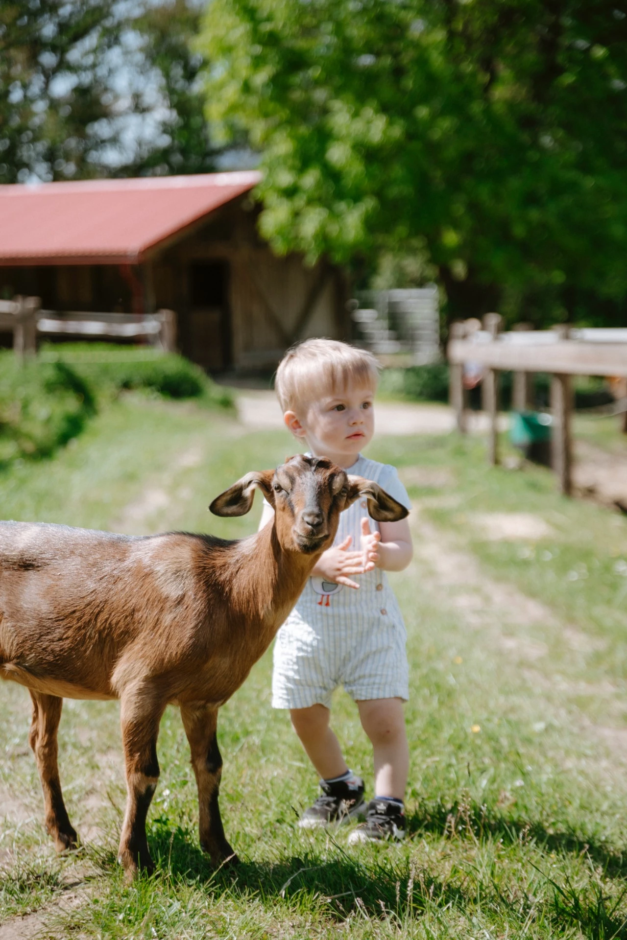 Kontaktní zážitek se zvířaty
