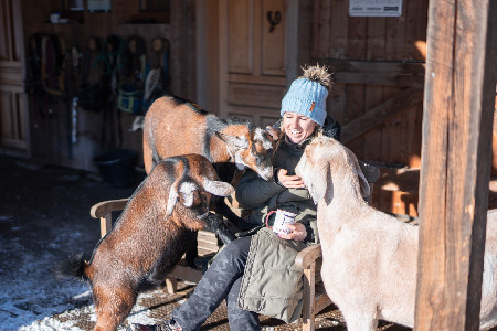 Ranč pod Lovošem – ubytování a atmosféra
